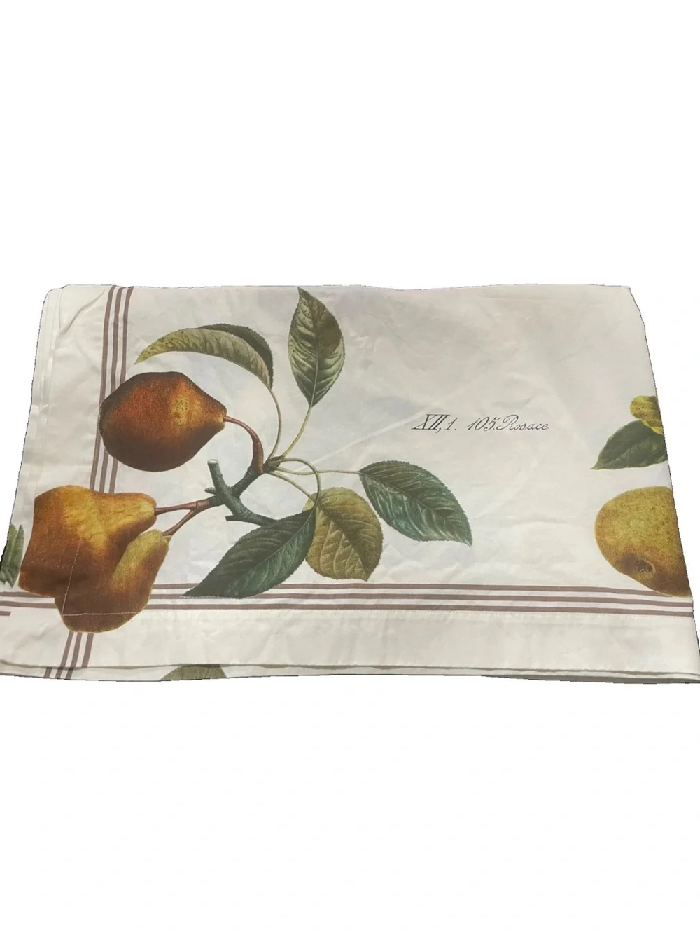 Williams Sonoma Pear Botanical Tablecloth 67x106 Cotton French Country Fruit